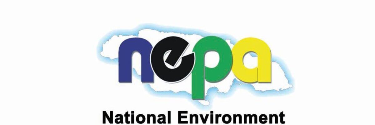 NEPA to serve NWC with enforcement notice today, following release of untreated sewage which caused fish kill in Rio Cobre