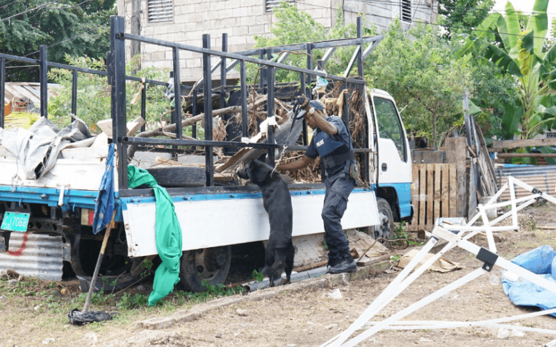 Police-military operation in St. Andrew leads to seizure of three firearms