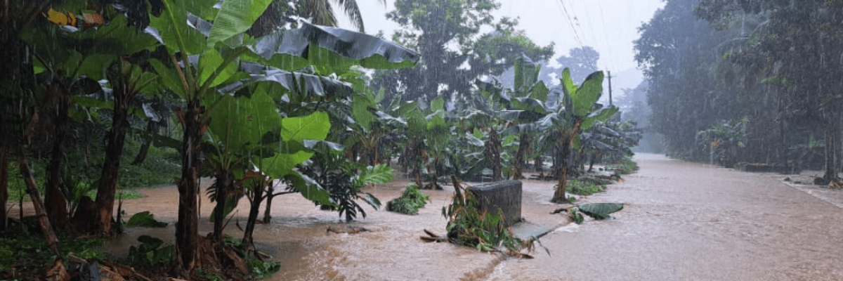 Flooding and landslides impact several roads in Portland