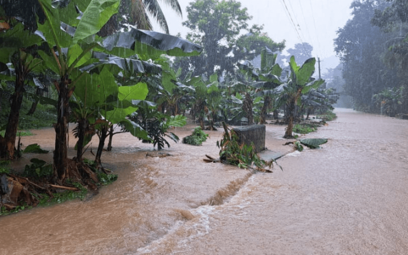 Flooding and landslides impact several roads in Portland