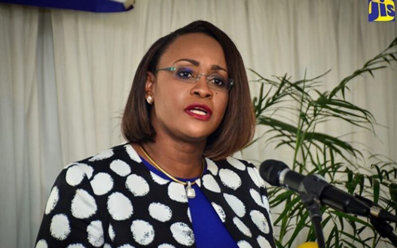 MP Juliet Holness warns Mavis Bank that improper garbage disposal could impact business opportunities